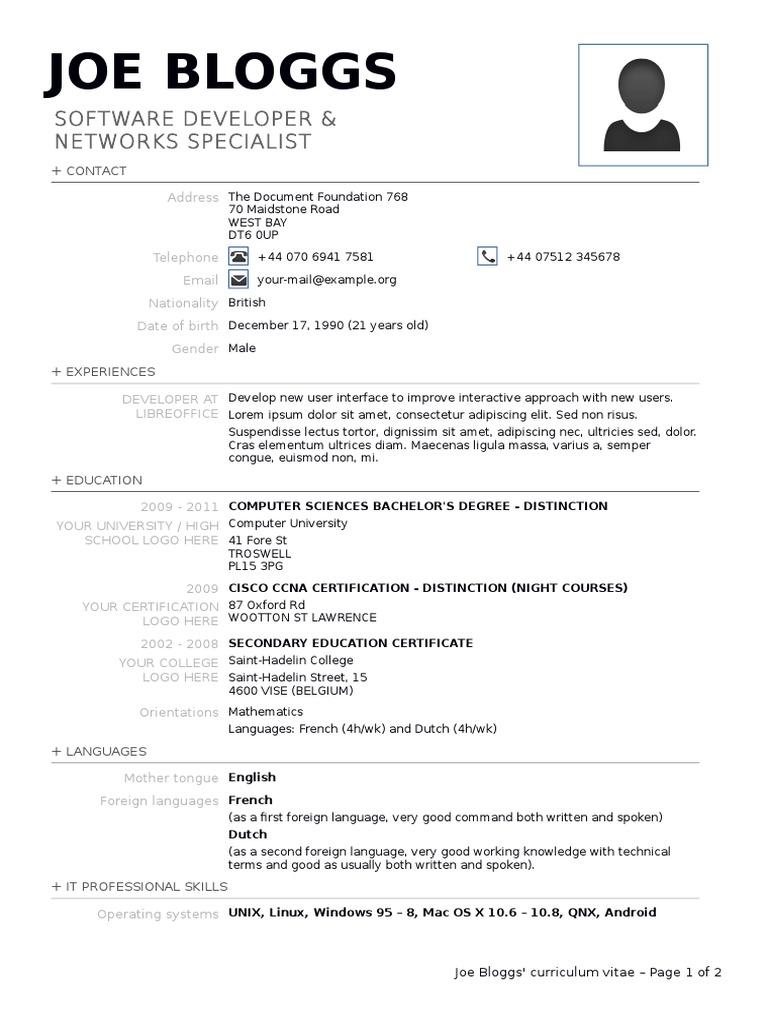Joe Bloggs: Software Developer CV | PDF