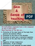 Skin & Sense of Touching