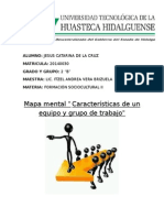 Mapa Mental (Características de Un Equipo y Grupo de Trabajo)