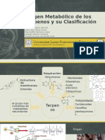 Origen Metabolico de Los Terpenos y Su Clasificacion