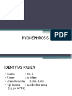 Pyonephrosis