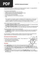 Blood and Circulation, iGCSE Biology