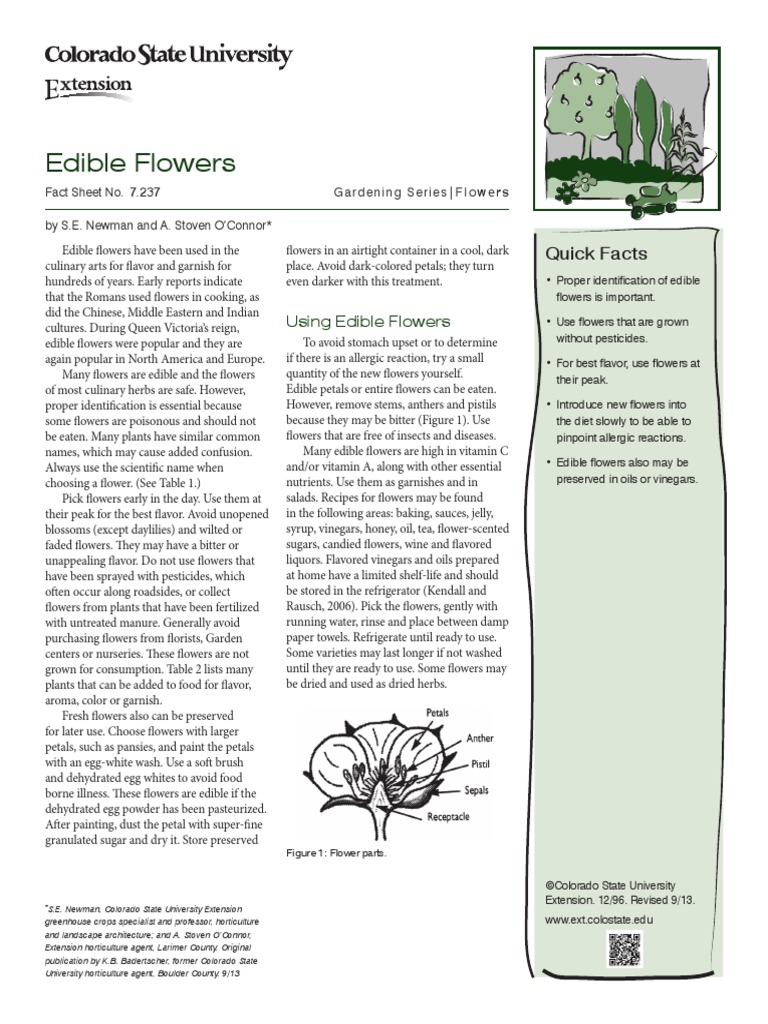 Edible Flowers PDF Lavandula Flowers