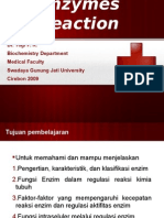 Enzymes Reaction