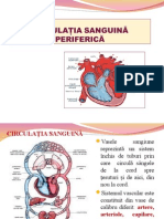 Circulatia sanguina periferica.ppt