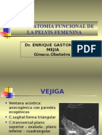 1b. Anatomia Pelvica Clase