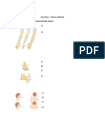 Exercícios - Sistema Articular