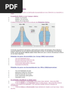 ESTRUTURA ETÁRIA.docx