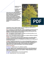 Anon - Arboles Y Arbustos PDF