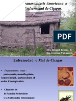 Presntacion Chagas 2009