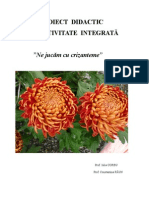 Proiect de Activitate Didactica Integrata