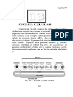 Cell cycle