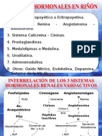 Fisiología Renal Endocrina