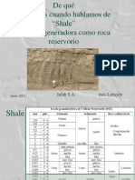 shale pirolisis.pdf