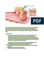 Kanser Kolon Merupakan Kanser Yang Terdapat Di Dalam Usus Besar