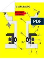 Partes Do Microscópio