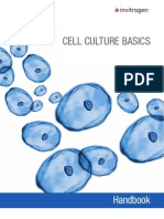 Cell Culture Basics