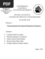 Práctica 1. Funcionamiento Del Aparato Respiratorio Humano
