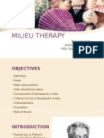 Milieu Therapy: An Interdisciplinary Approach