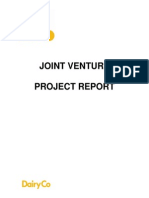 Joint Ventures Project Report Feb 2011