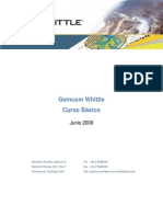 68233792-Manual-Basico-Whittle.pdf