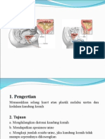 Power Point Pemasangan Kateter Pada Wanita Dan Pria 2003