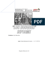 INFORME Los Bosques