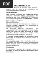 Sistema Muscular e Articulações (2)