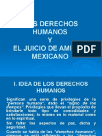 Los Derechos Humanos y El Juicio de Amparo