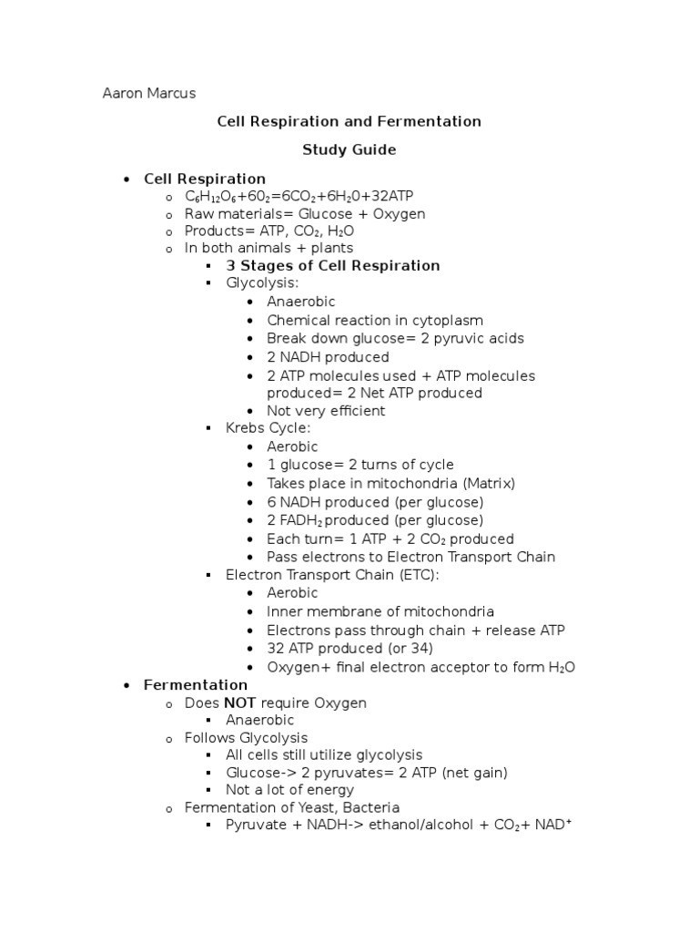 Cell Respiration and Fermentation Study Guide Cell Respiration | PDF ...