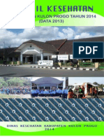 Profil Kesehatan Tahun 2014 Data 2013