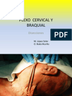 Plexo Cervical Braquial 