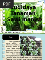 Budidaya Selada makalah Budidaya Selada makalah