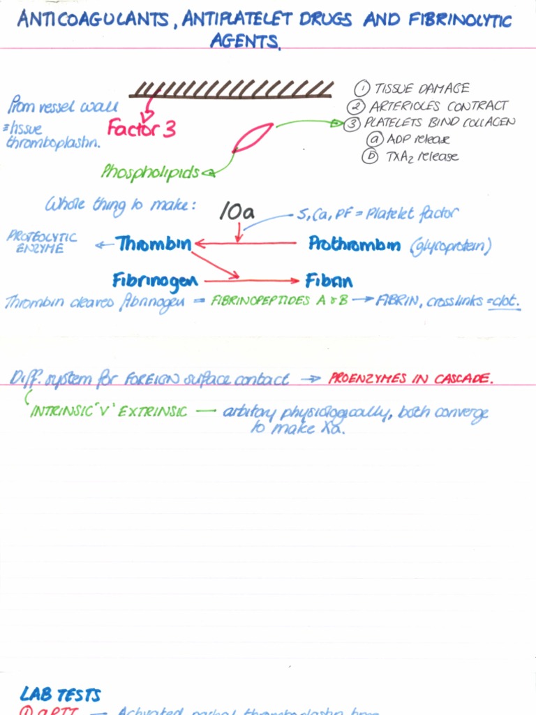 Antiplatelet and Fibrinolytic Agents Overview | PDF | Science & Mathematics