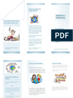 Follteto de Los Derechos y Deberes PDF