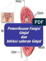 Fungsi Ginjal Patologi Klinik