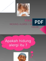 Rhinitis Alergi 