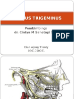 AJENG Nervus Trigeminus Ppt