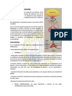 Corticoides.pdf