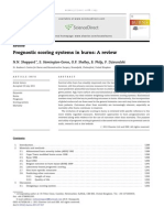 Prognostic Scoring Systems in Burns: A Review