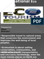International Eco Tourism