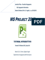 Ms Project