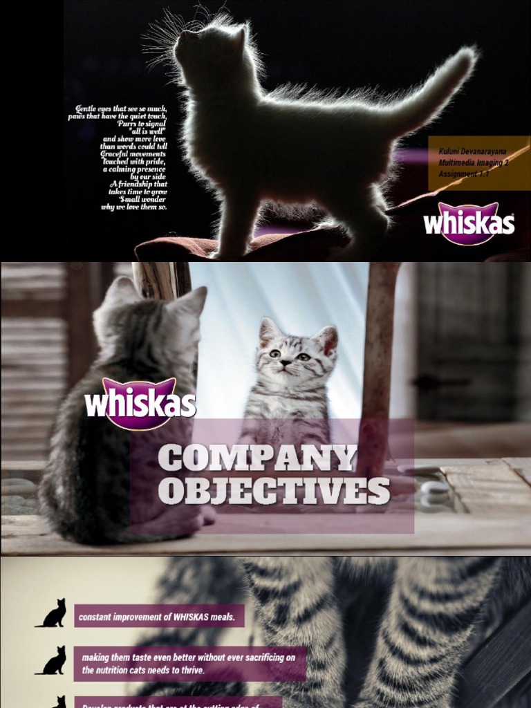 Whiskas Company Profile and Research Cats Felids