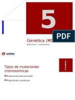 Tema 5 Genema Humano