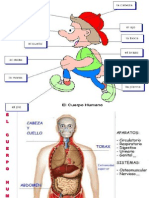 elcuerpohumano1.ppt