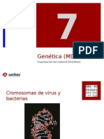 Tema 7 Genoma y ADN