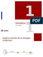 Tema 11 Alteraciones Clinicas de las Secuencias Anormales