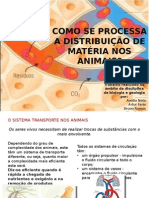 Como Se Processa A Distribuição de Matéria Nos Animais?