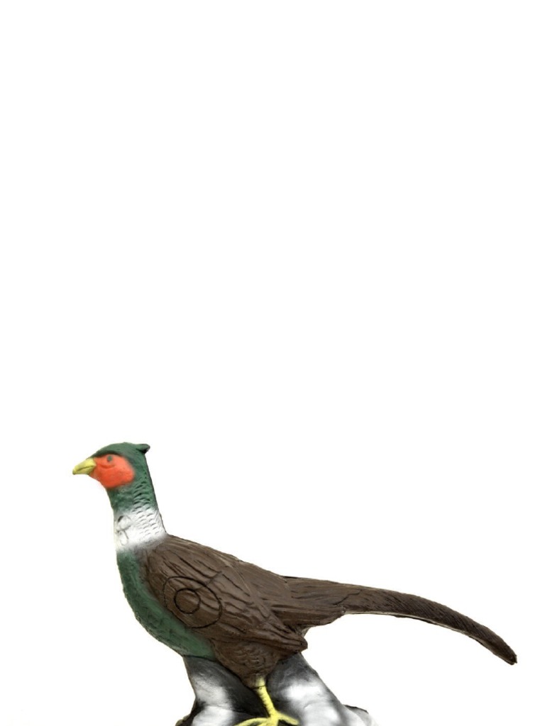 Target 13 - Pheasant Paper Targets (A3) | PDF