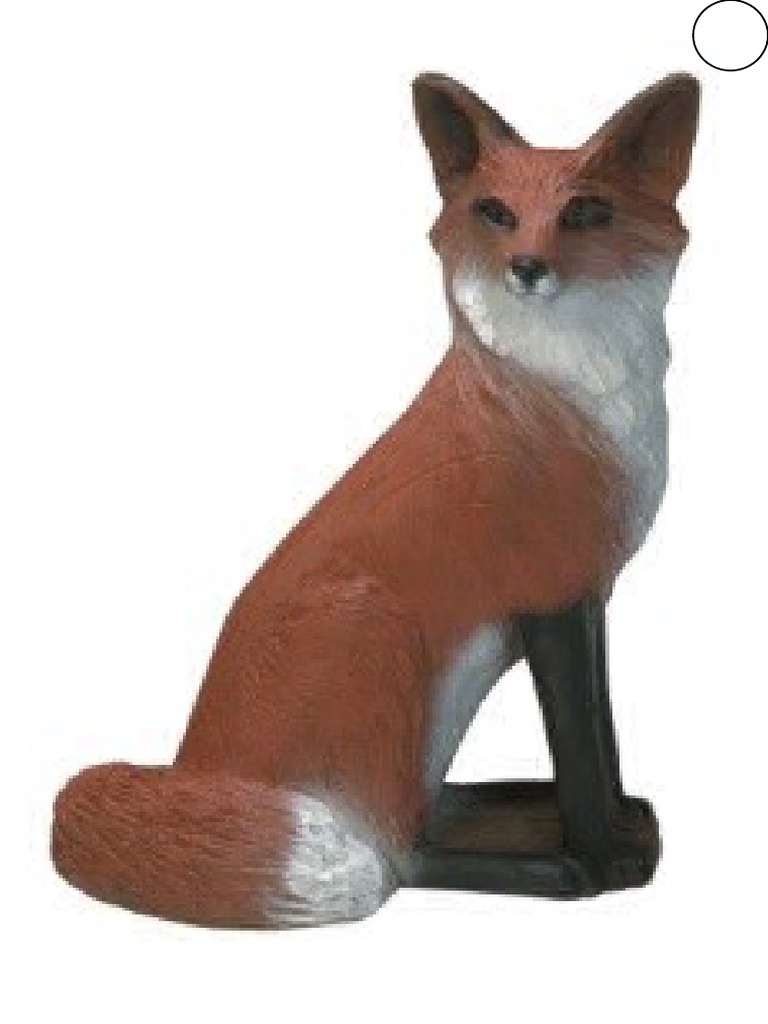Target 14 - Fox Paper Targets (A3) | PDF